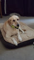 Dog Bone Name Stickers-5 pack