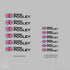 Pro Team Replica Garmin - Cervelo -6 pack